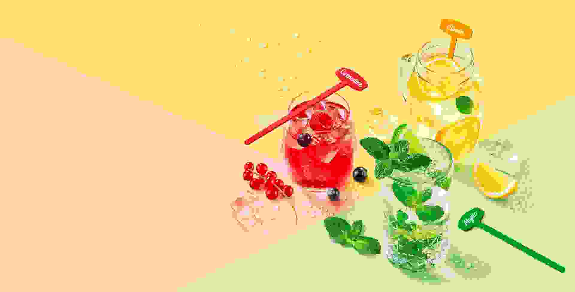 Onze inspiratie