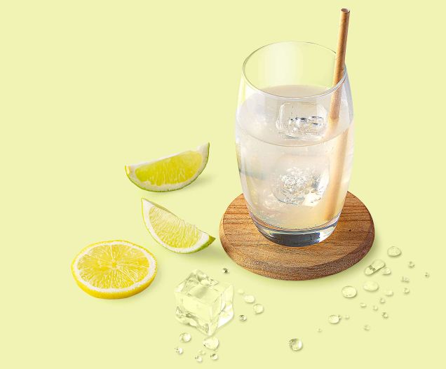 zesty-ginger-web-retina-02