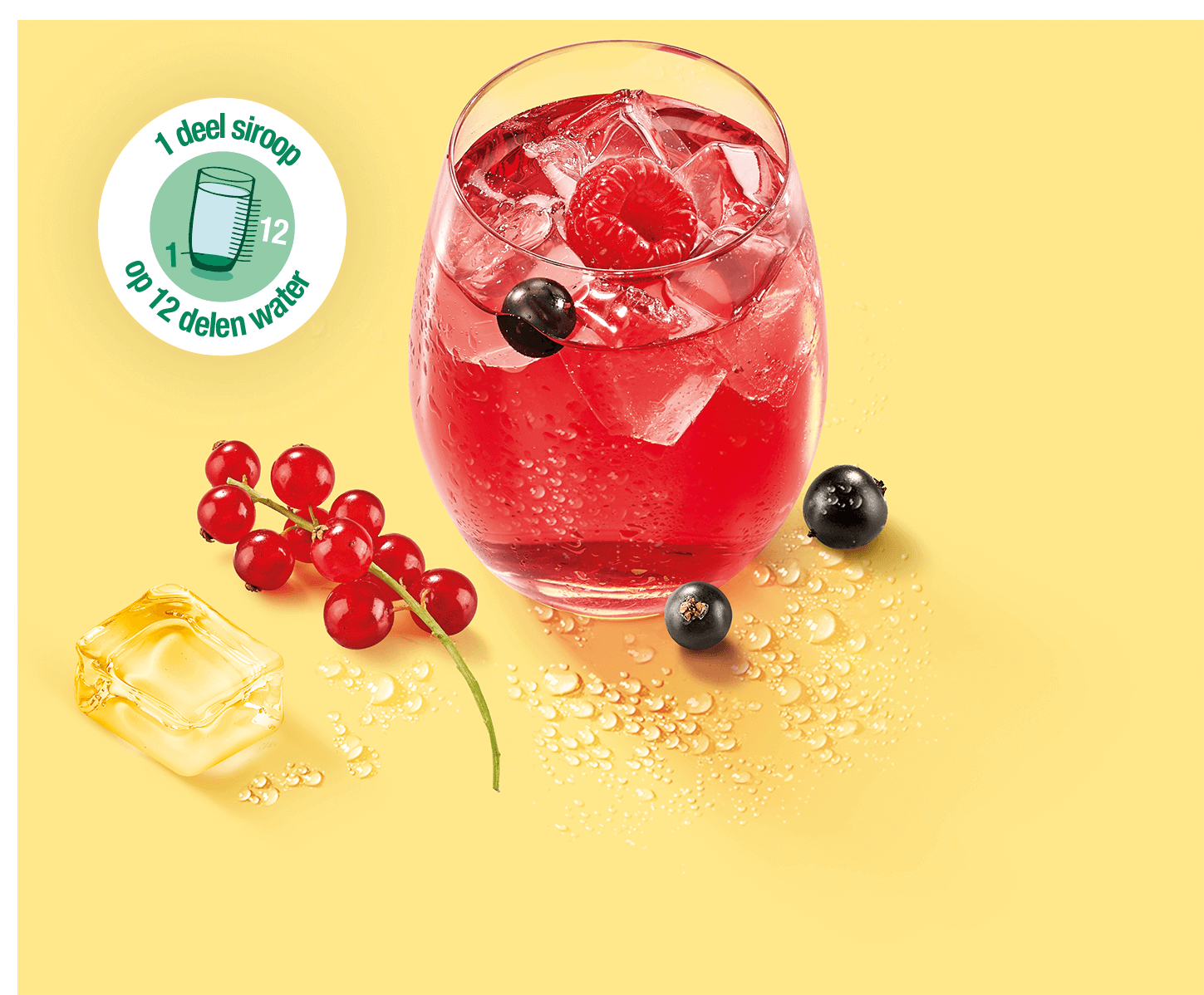 ne-erlandais-nos-engagements-lame05